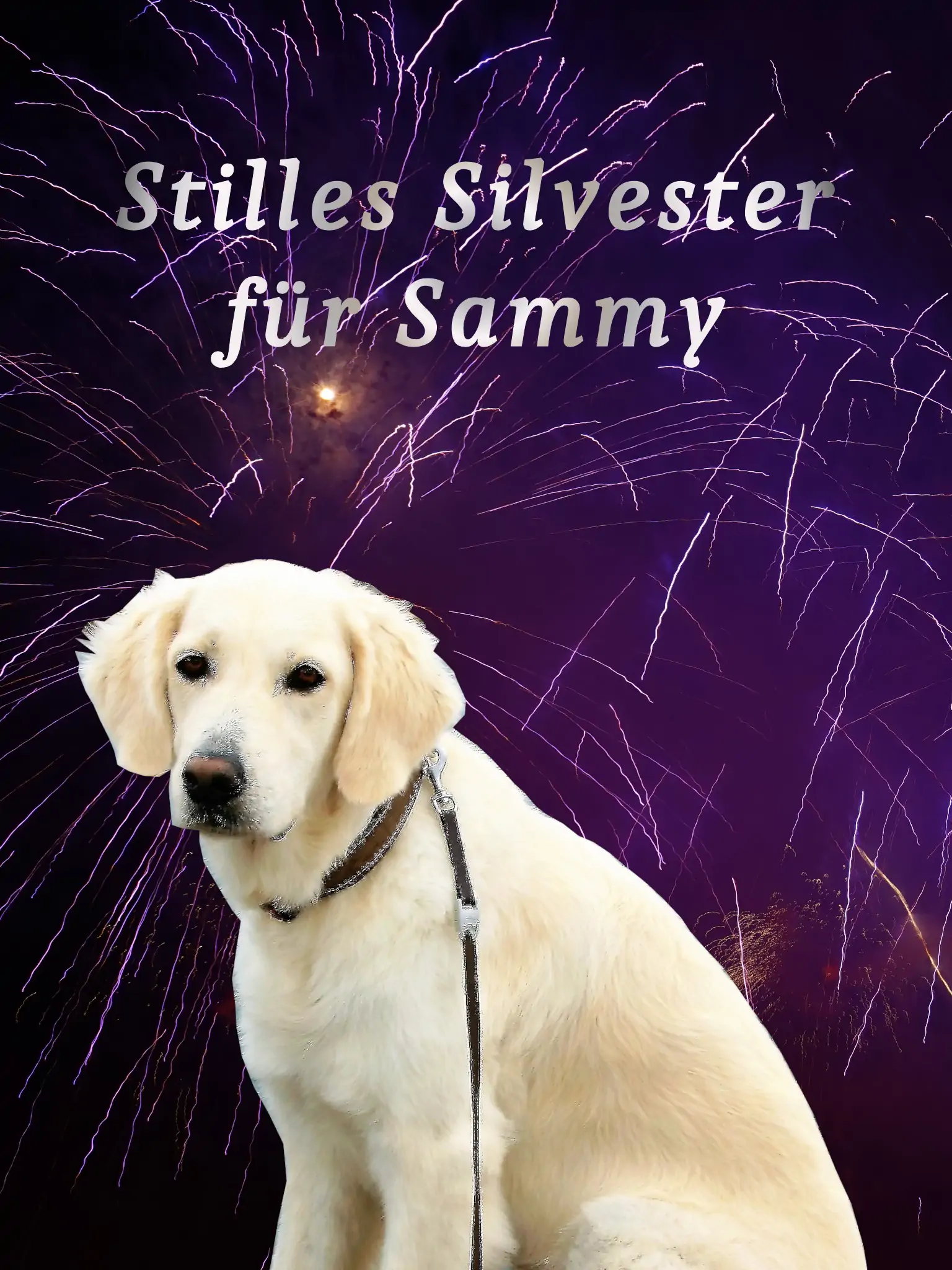 Cover der Kurzgeschichte Stilles Silvester für Sammy
