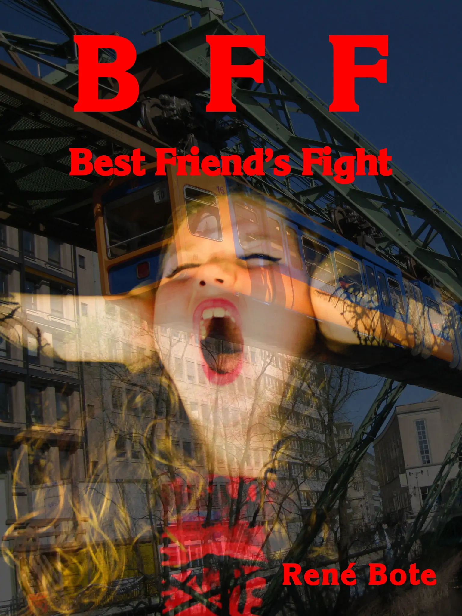 Cover des Buchs BFF - Best friend's fight