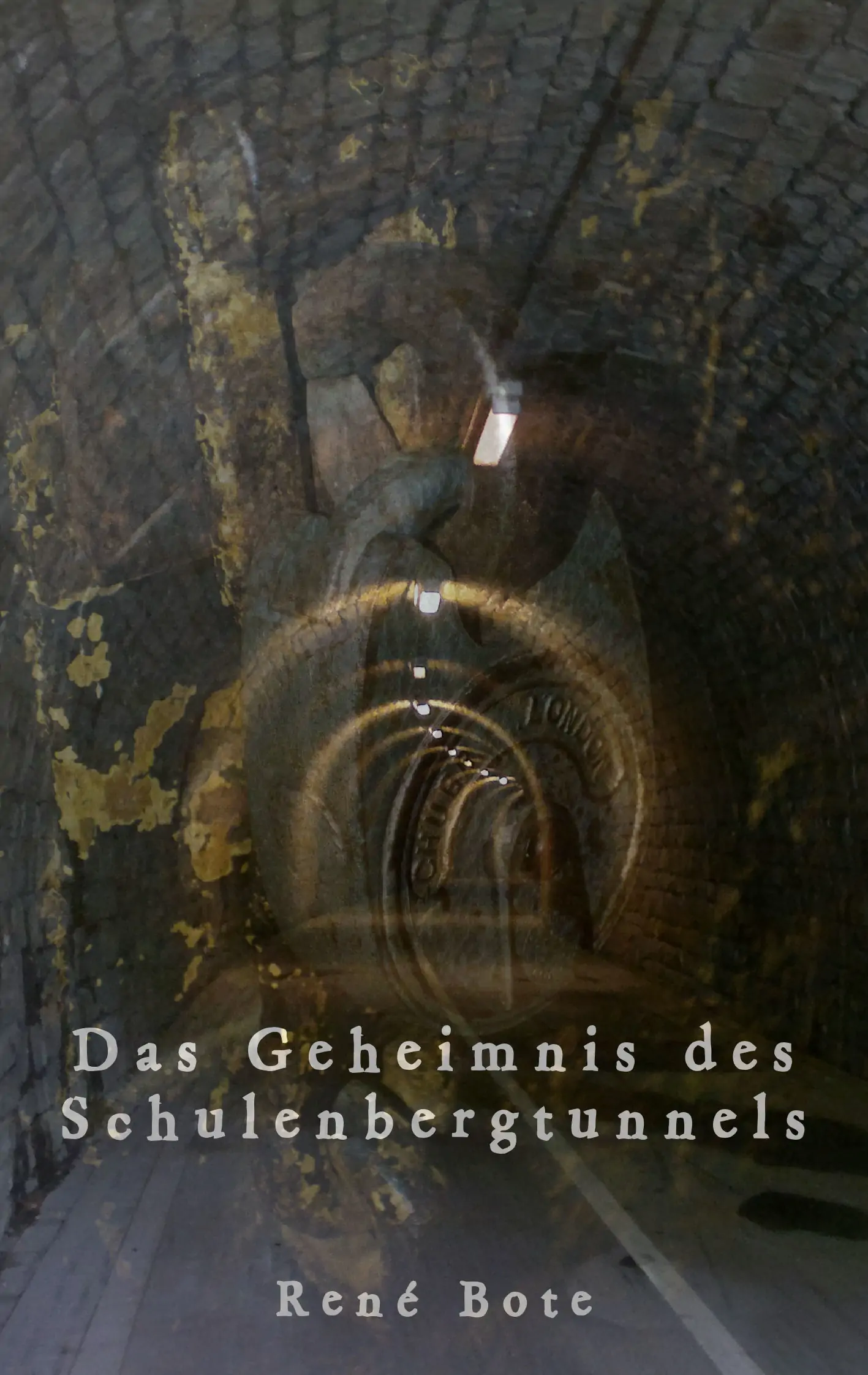 Cover des Buchs Das Geheimnis des Schulenbergtunnels