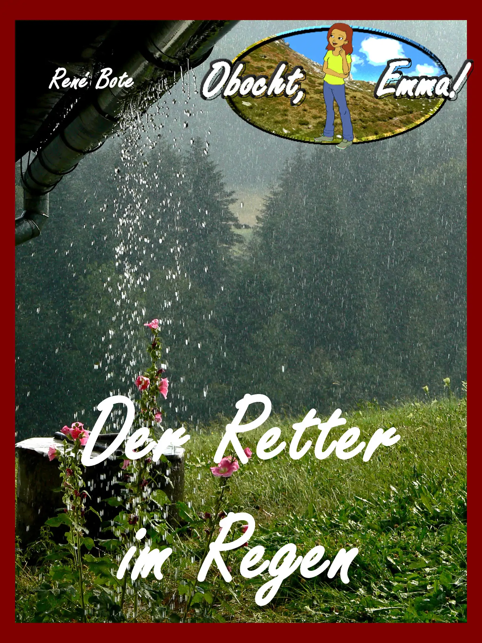 Cover des Buchs Der Retter im Regen