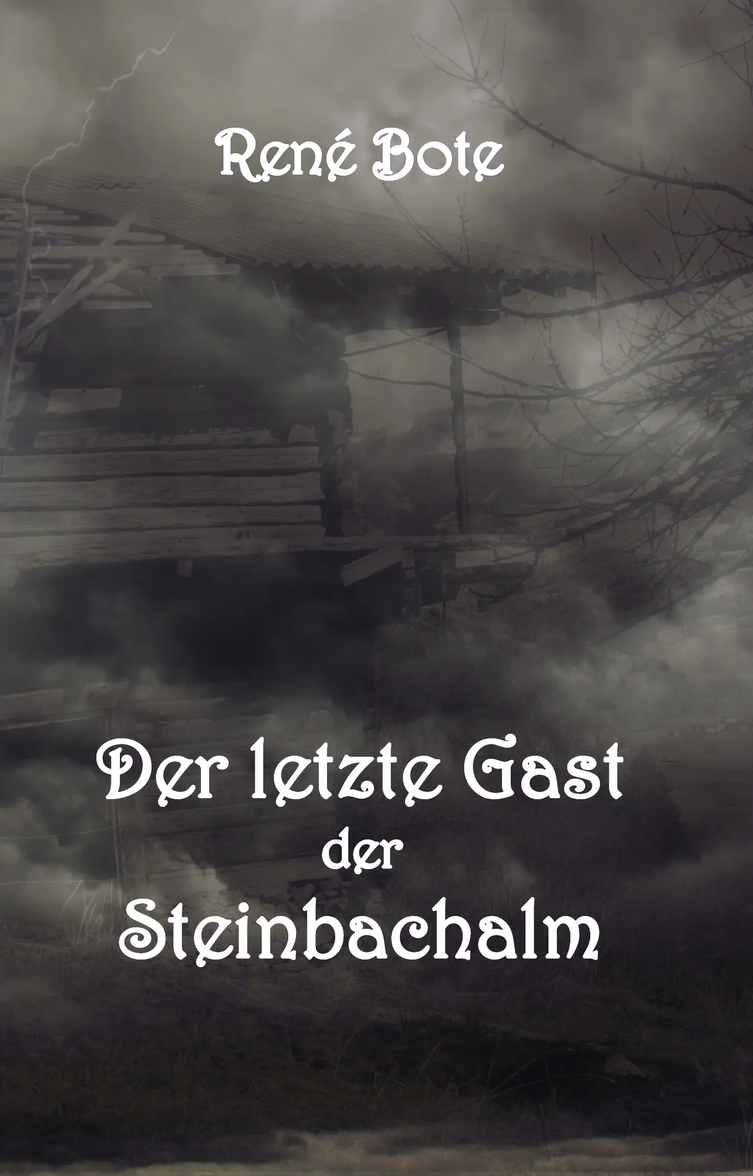 Cover des Buchs Der letzte Gast der Steinbachalm