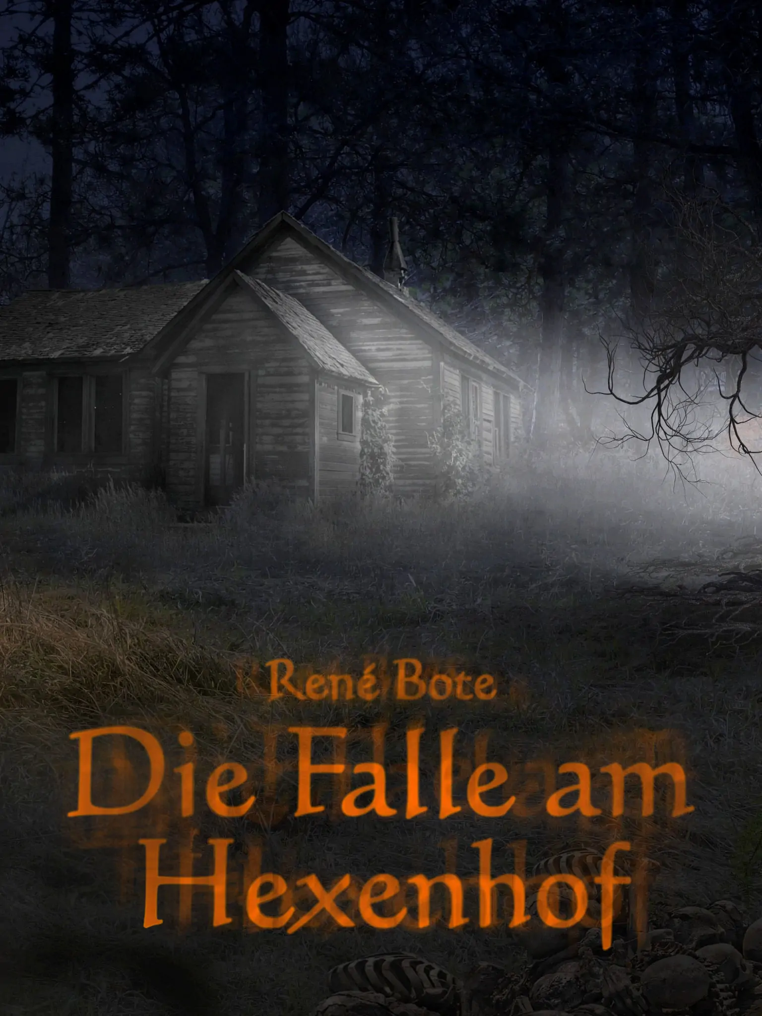 Cover des Buchs Die Falle am Hexenhof
