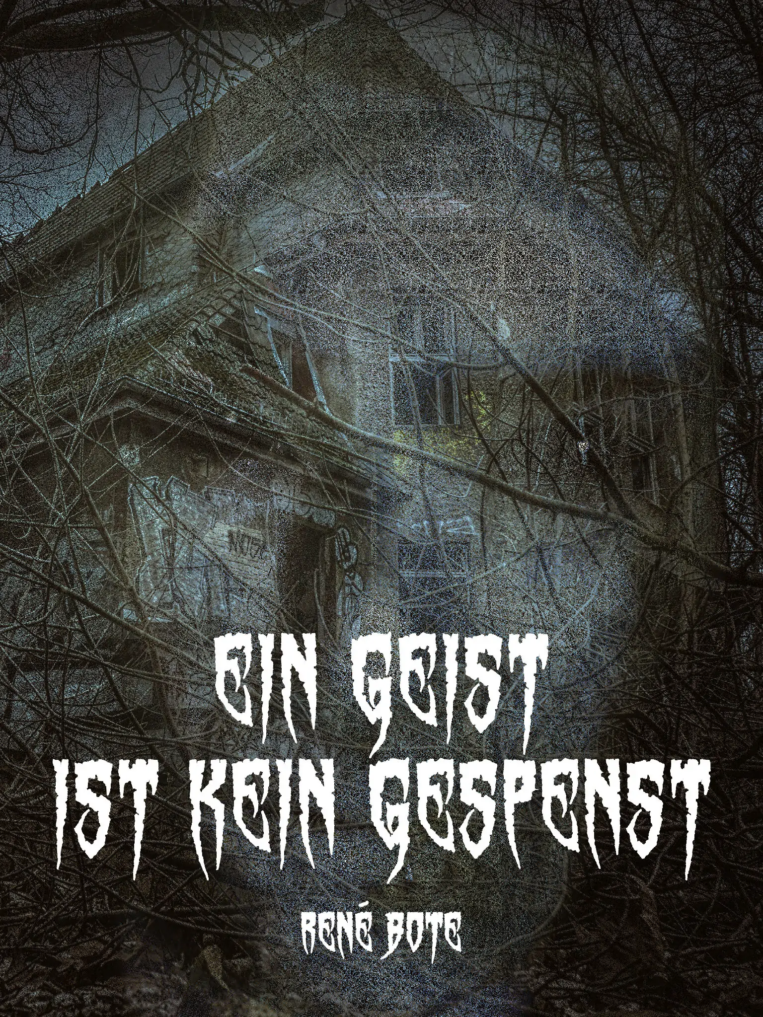 Cover des Buchs Ein Geist ist kein Gespenst