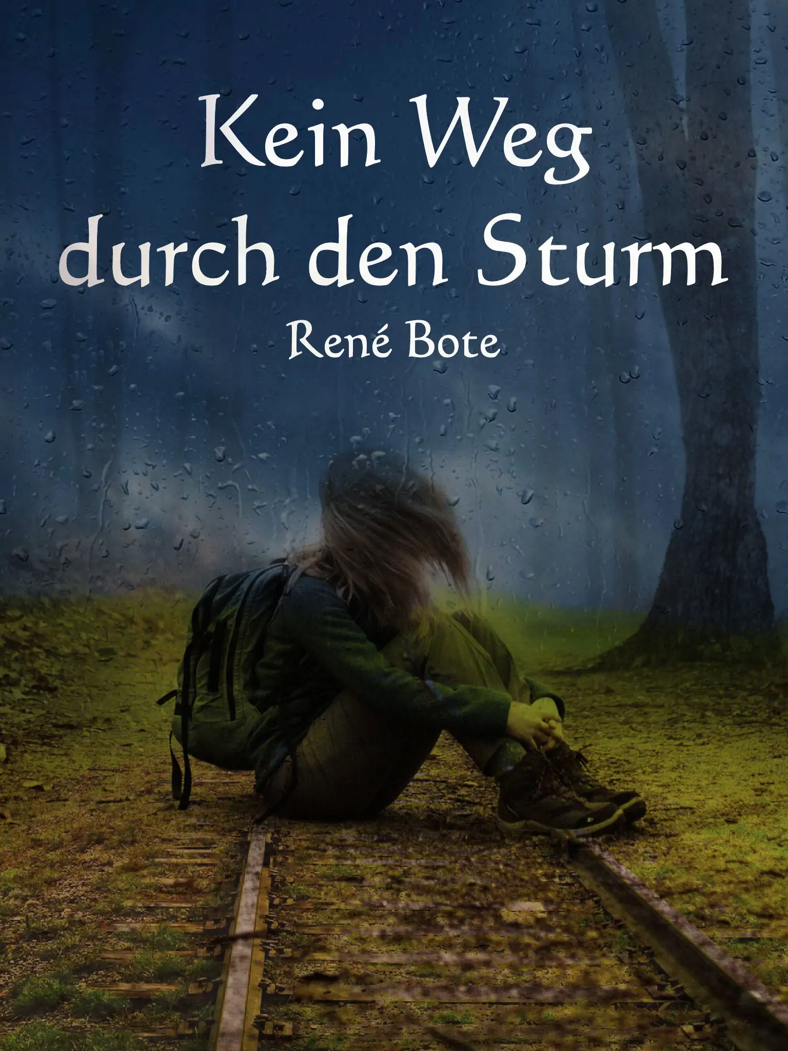 Cover des Buchs Kein Weg durch den Sturm