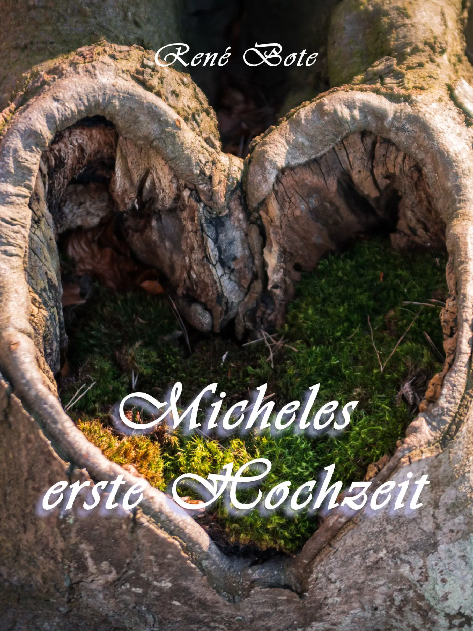 Cover des Buchs Micheles erste Hochzeit