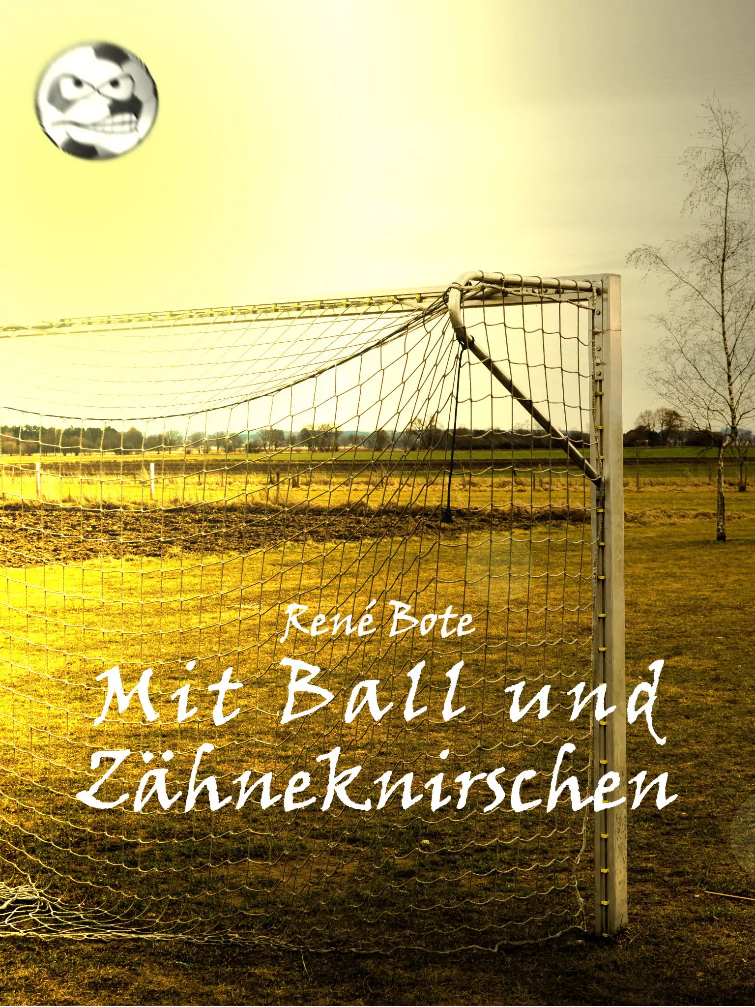 Cover des Buchs Mit Ball und Zähneknirschen