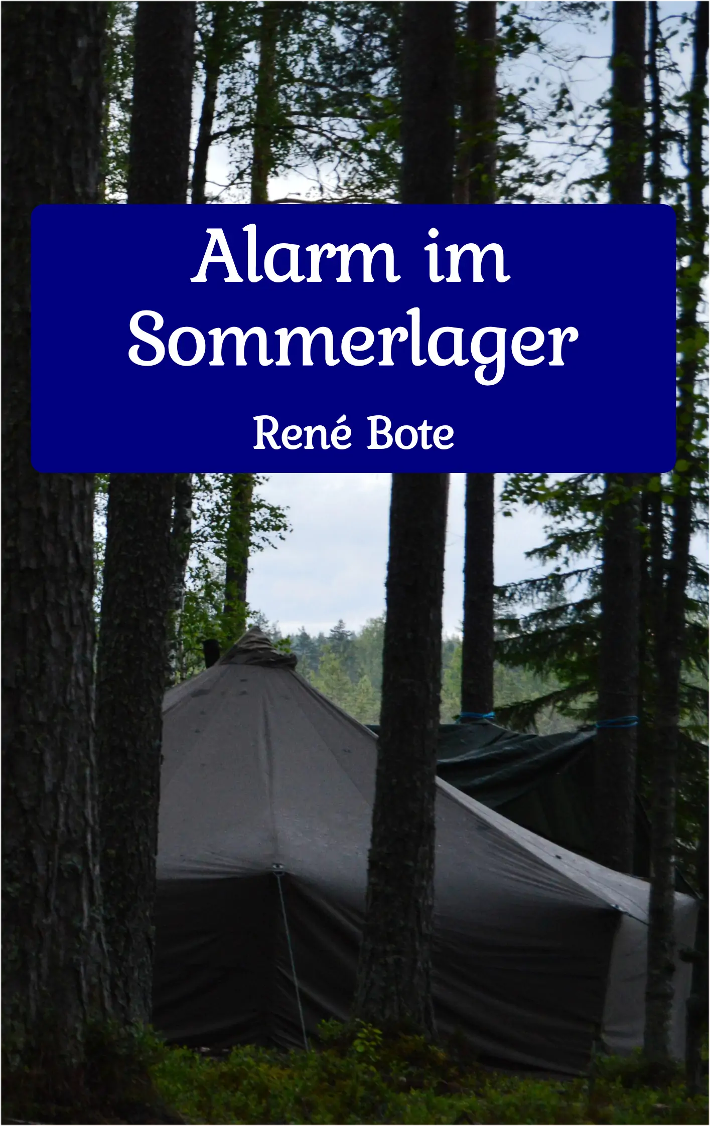 Cover des Buchs Alarm im Sommerlager