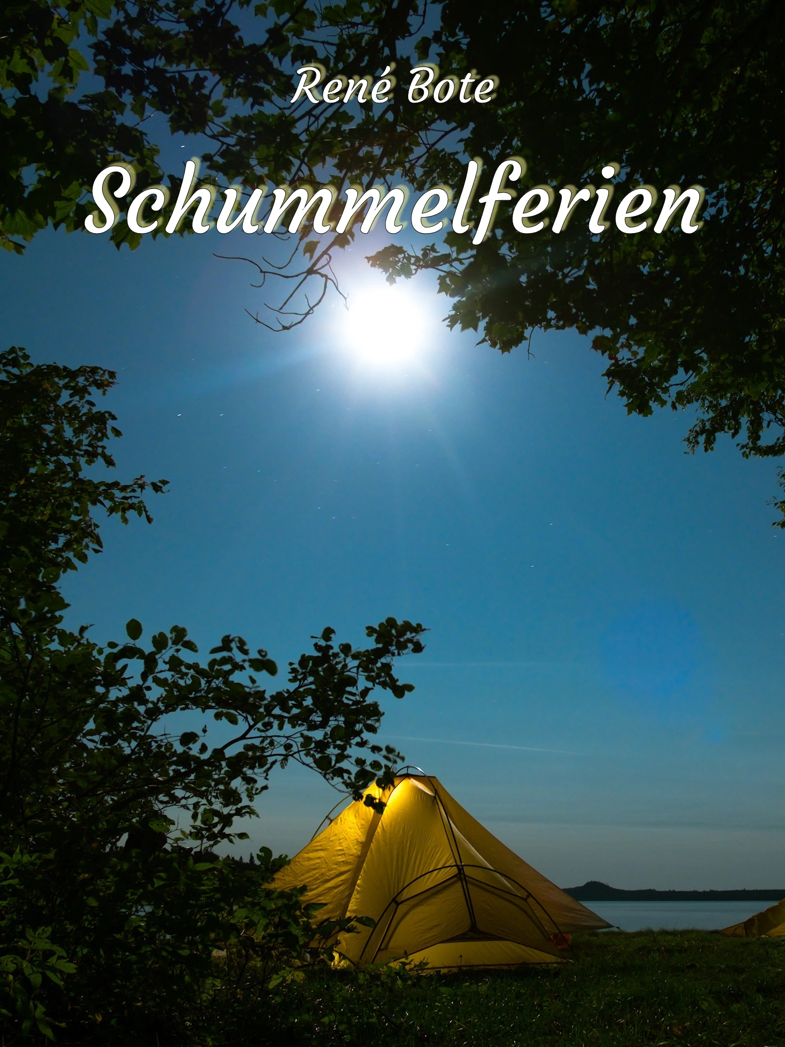 Cover des Buchs Schummelferien