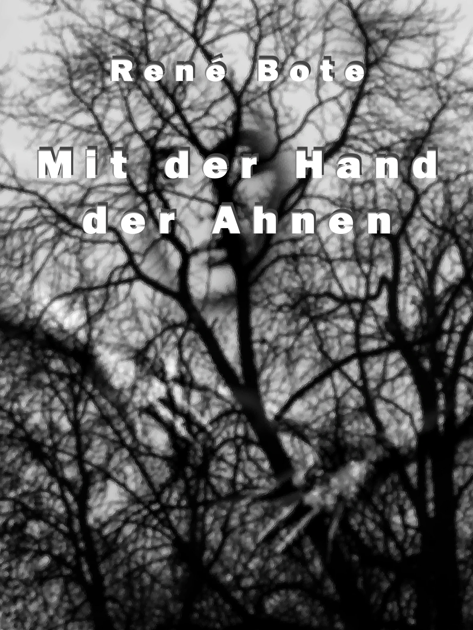 Cover des Buches [Title]