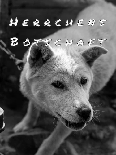Cover der Kurzgeschichte Herrchens Botschaft